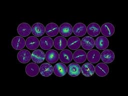 Families of Planets | California Academy of Sciences