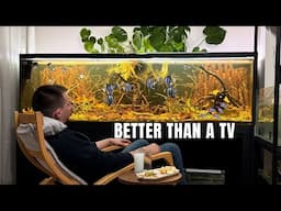 Is Watching an Aquarium Better Than TV?