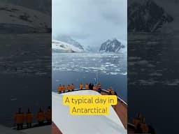 Have you ever wondered what a typical day in Antarctica is like?