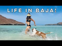 A Sailors Life in BAJA! 🤩🇲🇽⛵️ [Part 4]