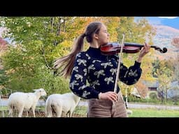 Sheep like my violin playing - Karolina Protsenko