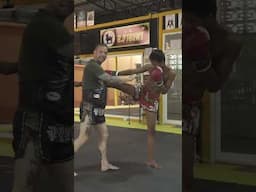 Target for Muay Thai Knee Techniques