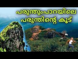 പരുന്തുംപാറയിലെ പരുന്തിന്റെ കൂട്  കാണാൻ പോയപ്പോൾ | parunthumpara | karikkinmedu view point | idukki