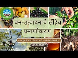 वन-उत्पादनांचे सेंद्रिय प्रमाणीकरण | Organic Certification for Forest Collection