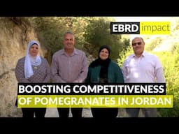 Boosting competitiveness of pomegranates in Jordan