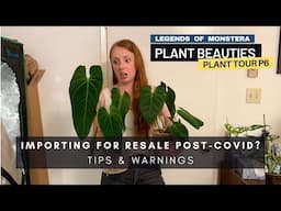 P6. Is Importing Plants Still Worth it Post-Covid? Tips & Warnings | Plant Beauties Series