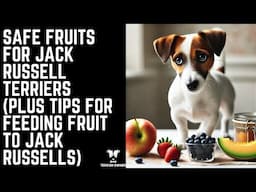 Safe Fruits for Jack Russell Terriers (Plus Tips for Feeding Fruit to Jack Russells)