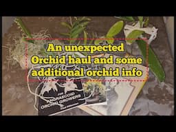 A LOVELY ORCHID HAUL AND SOME ADDITIONAL ORCHID INFO