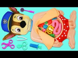 Paw Patrol Chase Gets a Tummy Ache! Let's Visit the Toy Doctor!