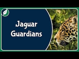 "Tigre Gente" and the Illegal Jaguar Trade