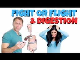 Digestion and a Fight or Flight State