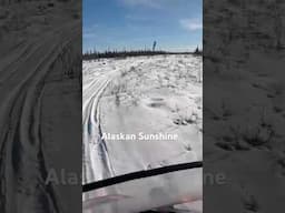 Alaskan Sunshine #alaska #alaskanadventure #enigmaticgwichin #snow #skidoo #shorts