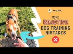 MORE Common Reactive Dog Training Mistakes