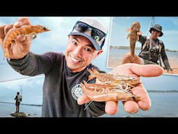 "Swan River Fishing: Epic Flathead & Prawn Catch and Cook in Perth!"