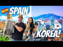 Why We Really Moved To Korea From Spain (Our story) - International Couple VLOG