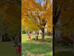 A quick peek at life on campus #Harvard #HarvardUniversity