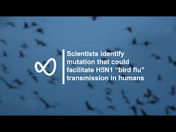 Scientists identify mutation that could facilitate H5N1 “bird flu” transmission in humans