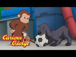 George's Soccer Dog! 🐵 Curious George 🐵 Kids Cartoon 🐵 Kids Movies