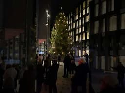 Oslo Norway 🇳🇴🎄 Christmas tree lighting #christmas2024 #christmastree #norway  #shorts