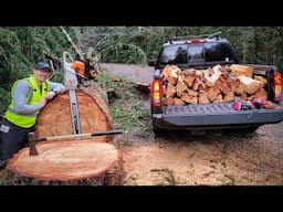 Roadside Firewood Haul from a 36" Old Growth Douglas Fir