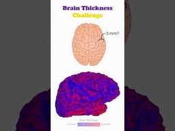 The brain thickness challenge