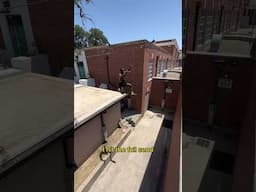 Parkour Roof Jump Challenge?! #parkourtraining #parkour #rooftop