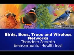 Wildlife and Wireless Radiation: Environmental Impacts of 5G and Small Cells