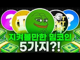 하락세 이후 지켜볼만한 밈코인 5가지?!