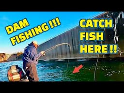 A SIMPLE fishing TECHNIQUE that CATCHES FISH like CRAZY!! ( ACTION PACK )