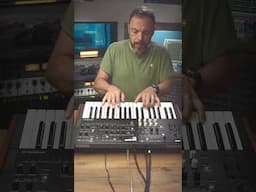 Michael Jackson "Human Nature" on my Korg WaveState - #shorts #wavestate #korgsynth #humannature