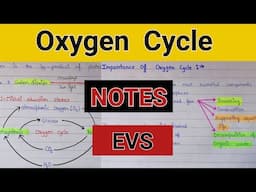 Oxygen cycle | Oxygen cycle in nature | Oxygen cycle notes | Oxygen cycle in evs