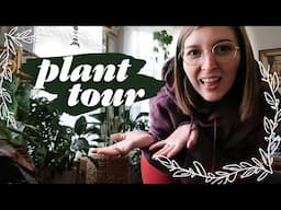 🌿 my brooklyn apartment plant tour 🌿