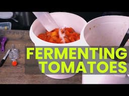 How to Ferment Tomatoes for Long-Term Preservation | Easy Step-by-Step Fermentation Guide