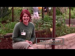 Growing a Greener World Episode 806 - Gardening in the Desert Southwest