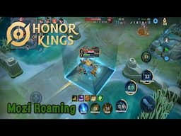 Mozi Roaming Honor of Kings