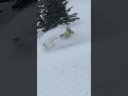 Skidoo or MTB? Both on the same day for my son Milo and I! #skidoo #mtb #portermtb #snowmobile