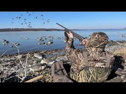 Main Lake Diver Duck Hunt: Big Flocks Dive Into the Decoys!