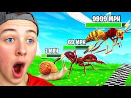 Reacting To FASTEST INSECT SPEED COMPARISON