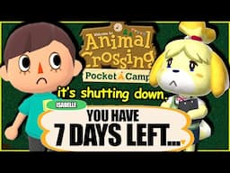 I Spent 7 Days In Animal Crossing Pocket Camp...on mobile