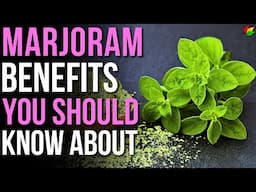 6 Powerful Benefits of Marjoram! | Health Benefits of Marjoram