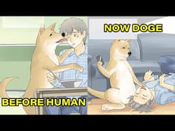 He Wakes Up Inside Of His Doge's Body And Later Goes On Wacky And Fun Adventures