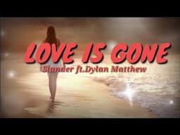 Slander - Love is Gone (Slander ft.Dylan Matthew) Acoustic Lyrics