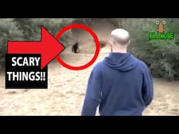 Top 20 Scariest Videos of DISTURBING THINGS Too Scary To WATCH ALONE!