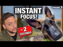 How to Train ANY Dog to Pay Attention in 2 Seconds