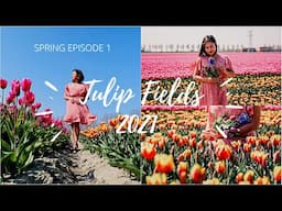 [SPRING EPISODE 1] TULIP FIELDS 2021 | DUTCH TULIPS - SPRING IN THE NETHERLANDS | FILIPINO-DUTCH