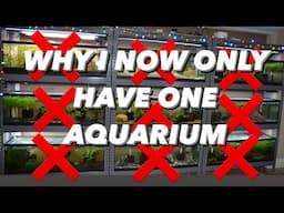 When A Hobby Feels Like A Chore - Why Having One Aquarium Brought Back My Passion For Fishkeeping