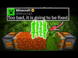 Minecraft Bugs Players DON'T Want Mojang To Fix...