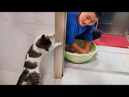 Life With A Curious Cat is Full of Laugh!😹 Funny Cat and Human