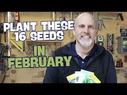 16 Seeds to Start Indoors in February