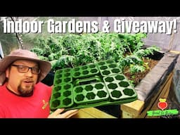 Let's Talk Indoor Gardening! + GreenStalk Seed Starter Giveaway